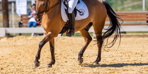  Zawodny Regionalne  I TOWARZYSKIE W UJE\u017bD\u017bENIU