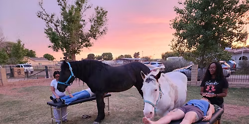 Mother's Day Reiki Among The Horses