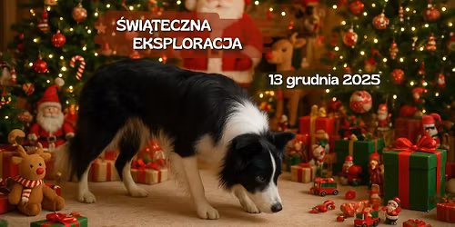Świąteczna eksploracja