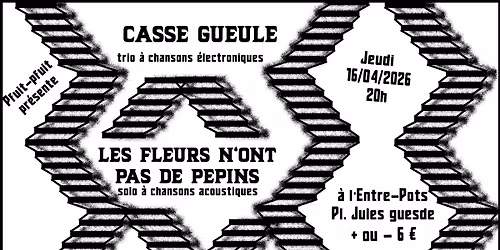 Concert : Casse Gueule + Les fleurs n'ont pas de p\u00e9pins