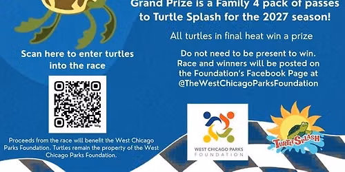 The Great Turtle Race