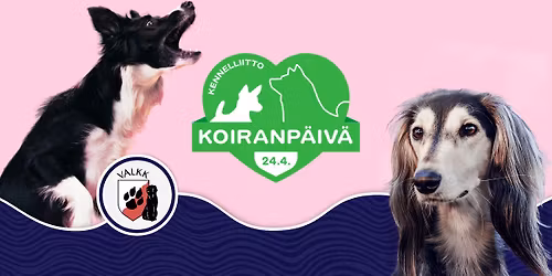 Koiranp\u00e4iv\u00e4n yhteislenkki