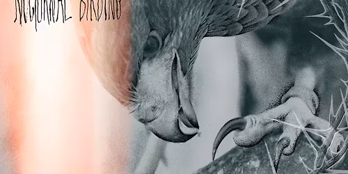 Author & Punisher, King Yosef, Black Magnet