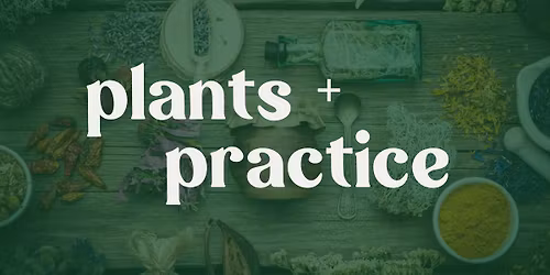 An Integrative Approach to Incorporating Herbalism into Daily Life with Kara Jo Lehman