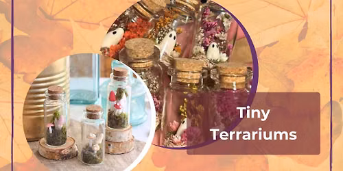 Cozy Crafts | Tiny Terrariums