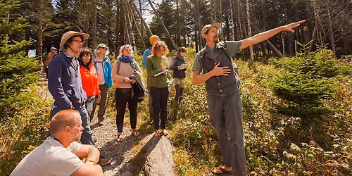 Plants, Trees, and wild woods wonders walk at FENCE