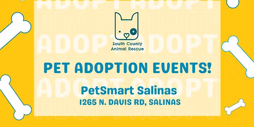 Adoption Event