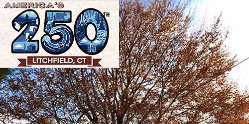 \u201cThe Historic Trees of Litchfield\u201d Van Tour: America\u2019s 250th in Litchfield
