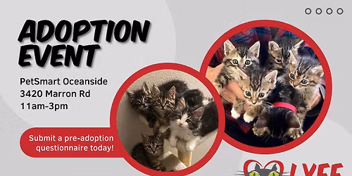Cat & Kitten Adoption Event