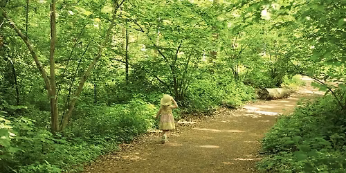 25 Years of Hanningfield Visitor Centre