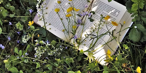 Lowry\u2019s Lodge Reading Series: National Poetry Month Celebration