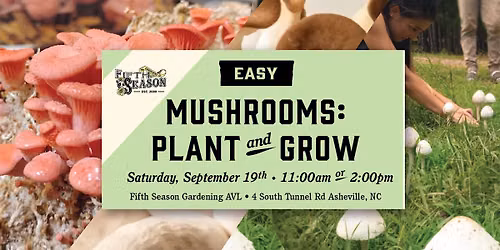 Plant & Grow Workshop: Easily Grow Gourmet and Medicinal Mushrooms