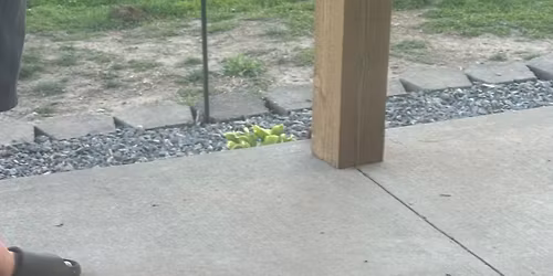 Avon adoption event!