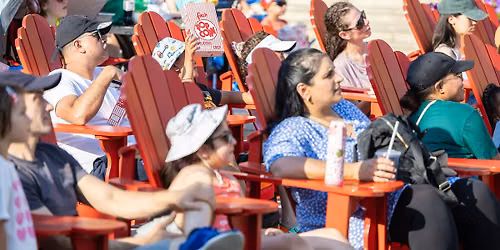Movies Under the Stars
