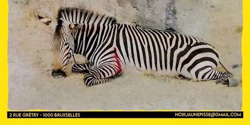 28\/03 - 25\/04 \/\/\/ TATIANA BOHM - HOT DUST @ Urochrome