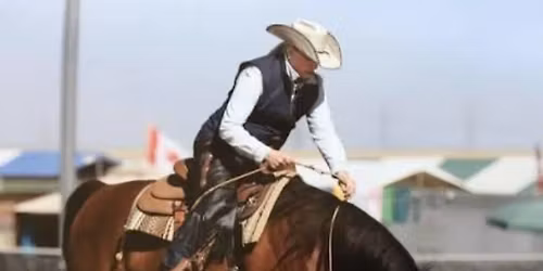Festival du Cheval Arabe, Arabian Western Horses 