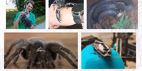 Leer, Lach & Beleef met de Friese Freek Vonk - Milan