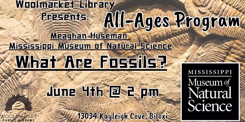 All-Ages Program: What are Fossils?