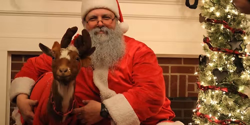 Holiday Nights at the Farm