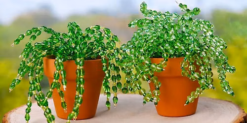 Crafty Adults: Mini Beaded Plant