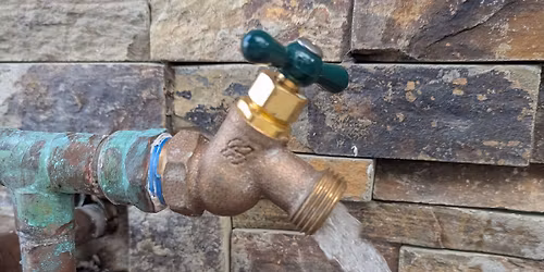 LDG Garden Talk : WATER- Lifeblood of the garden