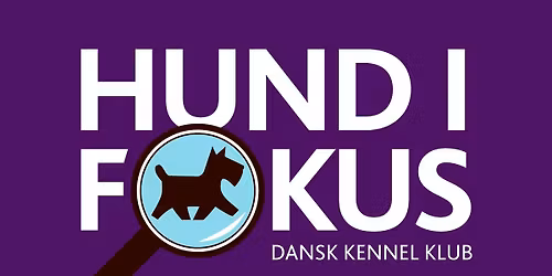 Hund i Fokus 2026