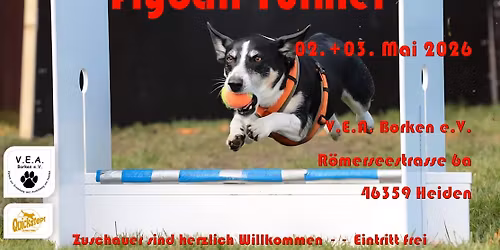 Anf\u00e4nger & Maik\u00e4fer Flyball Turnier 2026