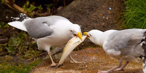 Beautify Brewster Day - Stony Brook Gristmill team