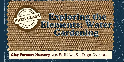Exploring the Elements: Water Gardening