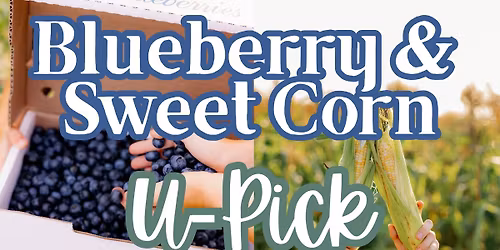 Blueberry & Corn U-Pick
