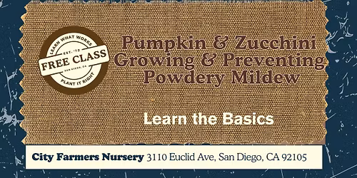 Pumpkin & Zucchini Growing & Preventing Powdery Mildew \ud83c\udf83\ud83e\udd52