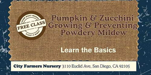 Pumpkin & Zucchini Growing & Preventing Powdery Mildew \ud83c\udf83\ud83e\udd52