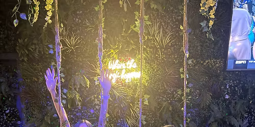 The Barely Electrics are Rockin' the Conch House!