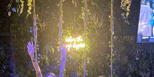 The Barely Electrics are Rockin' the Conch House!