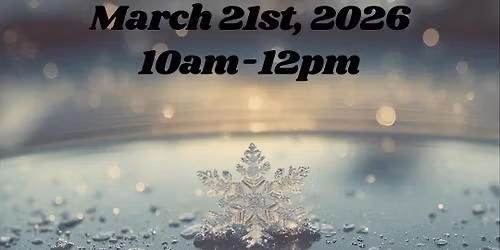 Frosted Frames: Coffee and Cars