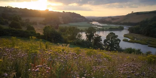 Grants for nature recovery | Rewilding updates from Sharpham