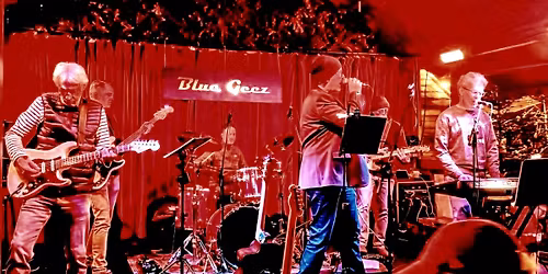 Blue Geez live auf der Erlanger Waldweihnacht 2025