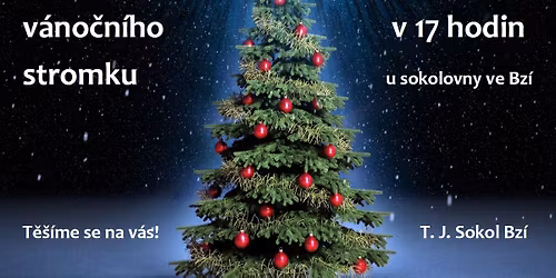 Rozsvícení vánočního stromku