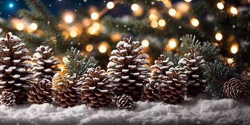 \ud83c\udf84Relief Society Christmas Craft Night\ud83c\udf84