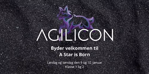 A Star Is Born - Januar edition