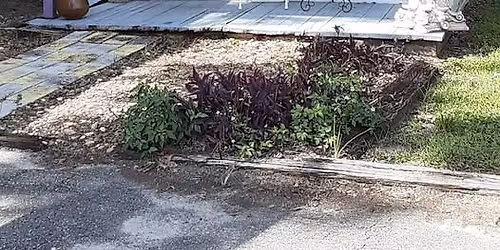 Readers & Healers Wed\/Fri\/Sat