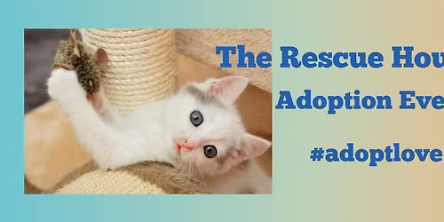 Cat and Kitten Adoption Event PetSmart Encinitas