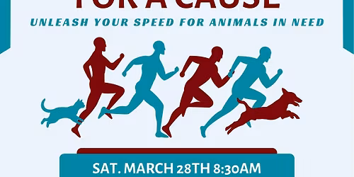 Zoomies for a Cause: 5K and Fun Run