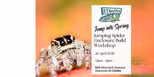 Jump Into Spring: Jumping Spider Workshop