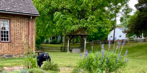 Gardens and Flowers in the Historical Park  