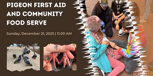 Pigeon First Aid & Community Food Serve