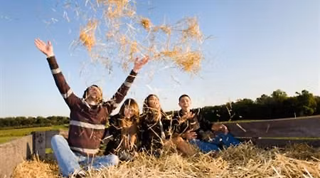 Solaris Key Holiday Hayride