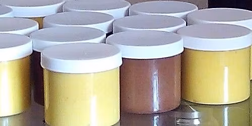 Nfec tradefair festival 2025