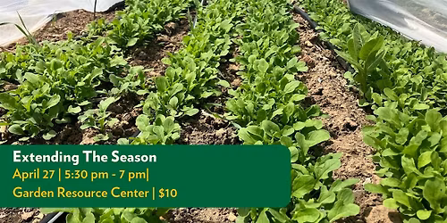 Extending The Season