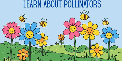 Explore & Observe: Pollinators